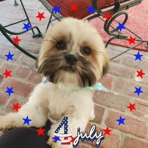 Meet your Posher, Jayne